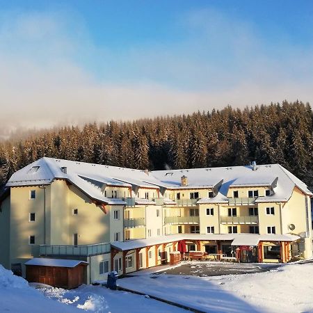 Апартаменты Residenz Grafenmatt Feldberg Фельдберг Экстерьер фото